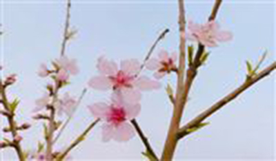 11月开标！7大过亿环保项目开启投标通道