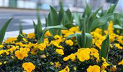 创业板环保上市企业将再多一员 海纳股份10月29日上会l